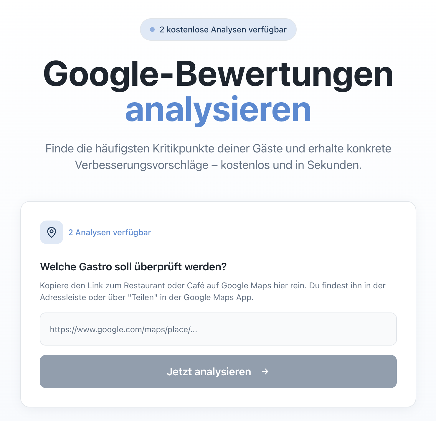 Google Maps Link eingeben - Startansicht des Analyse-Tools