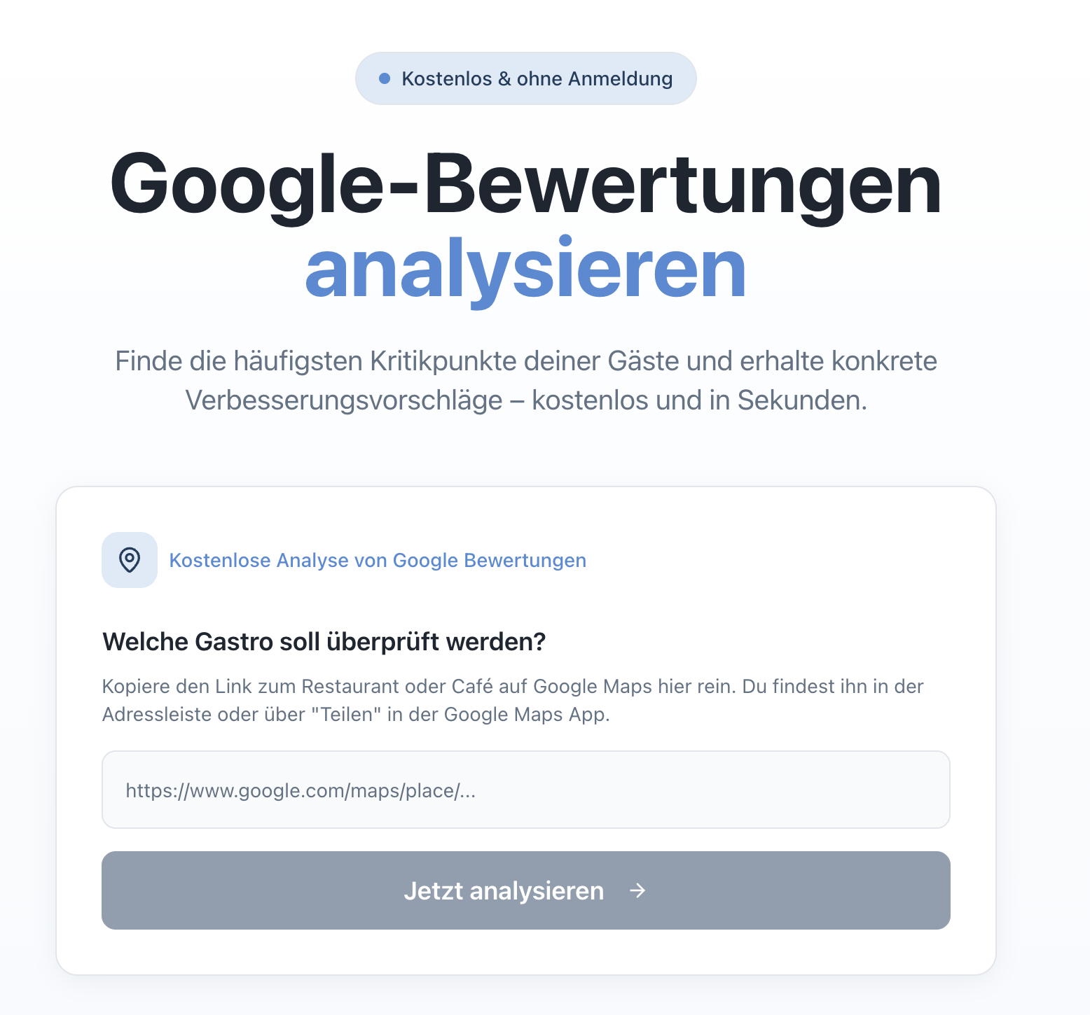Google Maps Link eingeben - Startansicht des Analyse-Tools